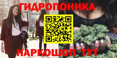 кокс Ярославль