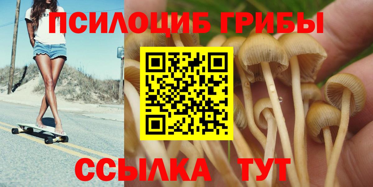 Псилоцибиновые грибы мицелий  Вход с VPN  Псилоцибиновые грибы ЛСД  Жуковский 